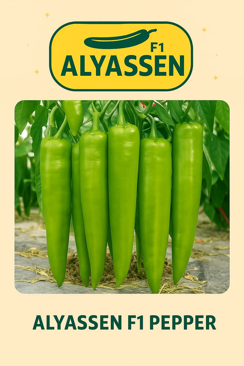 فلفل الياسين 