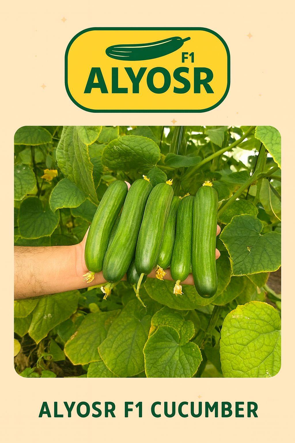 F1 خيار اليسر