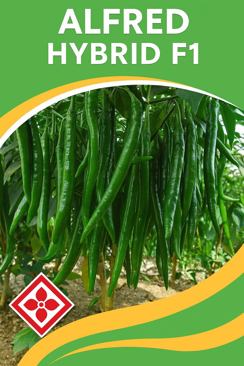 فلفل حار الفريد 