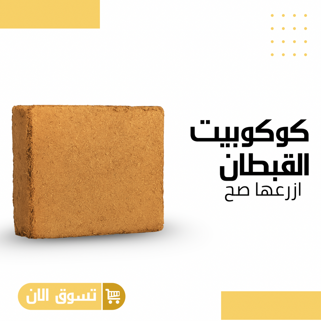 كوكوبيت القبطان (هندي) 15 كيلو