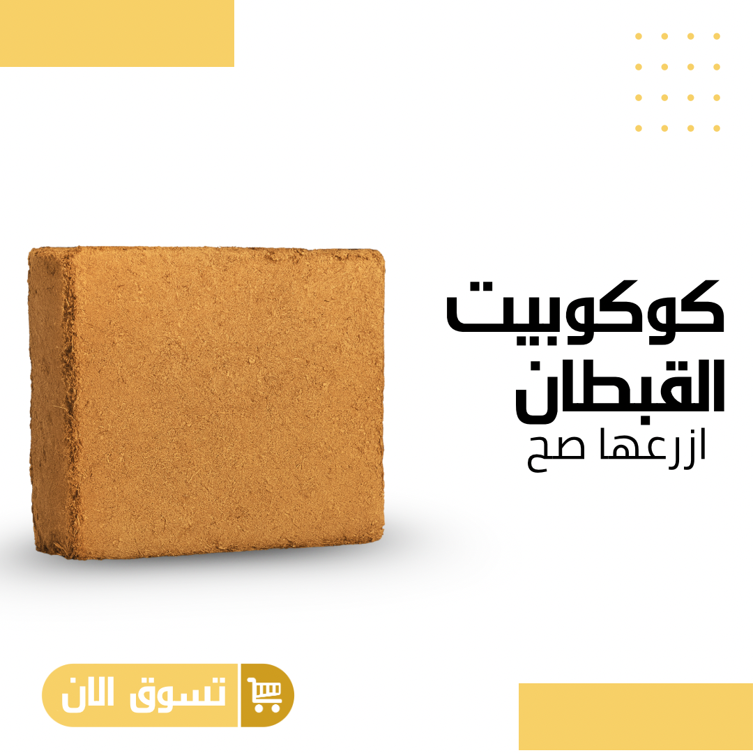 كوكوبيت القبطان (هندي) 5 كيلو